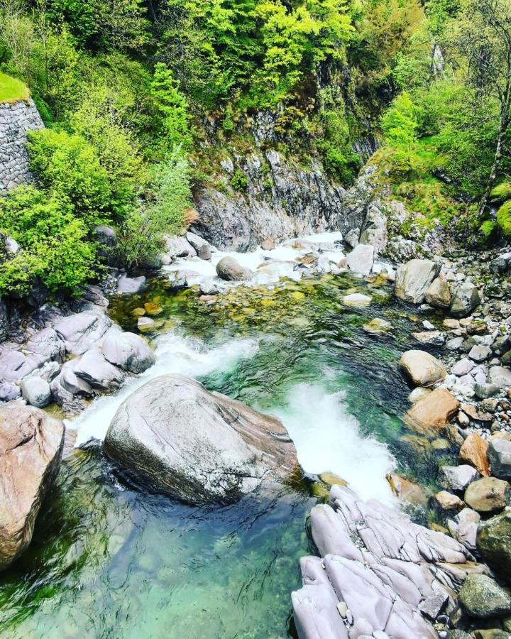 B&B Oasi Fiorita Trivero Kültér fotó